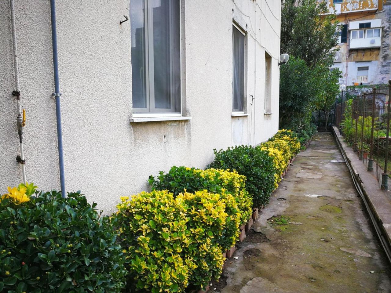 ナポリ Il Giardino Di Vico Neve Bed & Breakfast エクステリア 写真