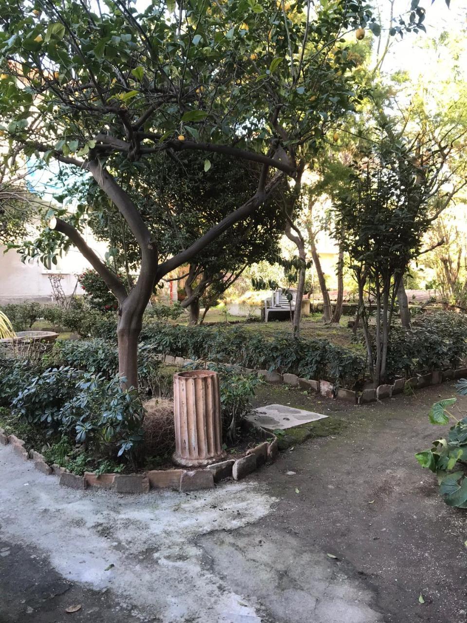 ナポリ Il Giardino Di Vico Neve Bed & Breakfast エクステリア 写真