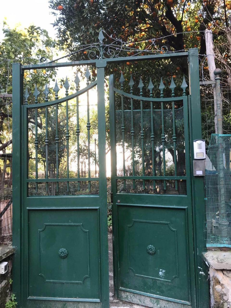 ナポリ Il Giardino Di Vico Neve Bed & Breakfast エクステリア 写真
