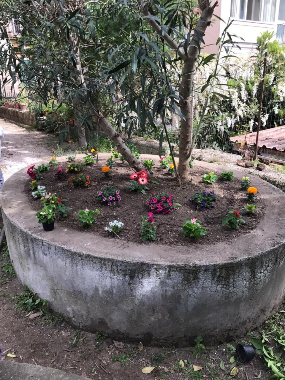 ナポリ Il Giardino Di Vico Neve Bed & Breakfast エクステリア 写真